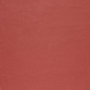 Paloma Dark Henna