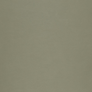 Paloma Shadow Green