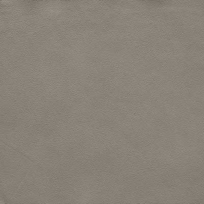 Paloma Silver Grey