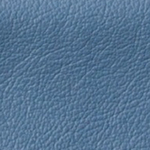 Paloma Sparrow Blue