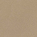 Paloma Sand